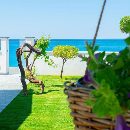 Mbaccimari B&B Cetraro Bagian luar foto