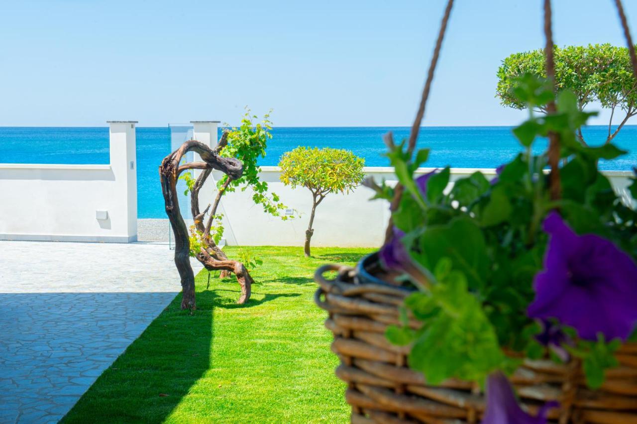 Mbaccimari B&B Cetraro Bagian luar foto